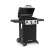 Газовый гриль Broil King  Gem 310 