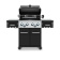 Газовый гриль Broil King  Regal 490 