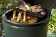 Керамический гриль BigGreenEgg (Большое Зеленое Яйцо)  Mini EGG 