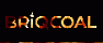 BRIQCOAL
